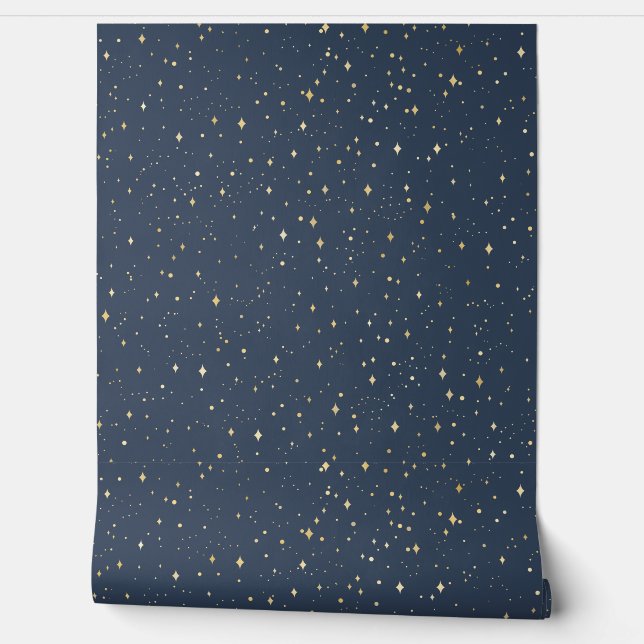 Starry Night Sky Wallpaper (Unrolling)