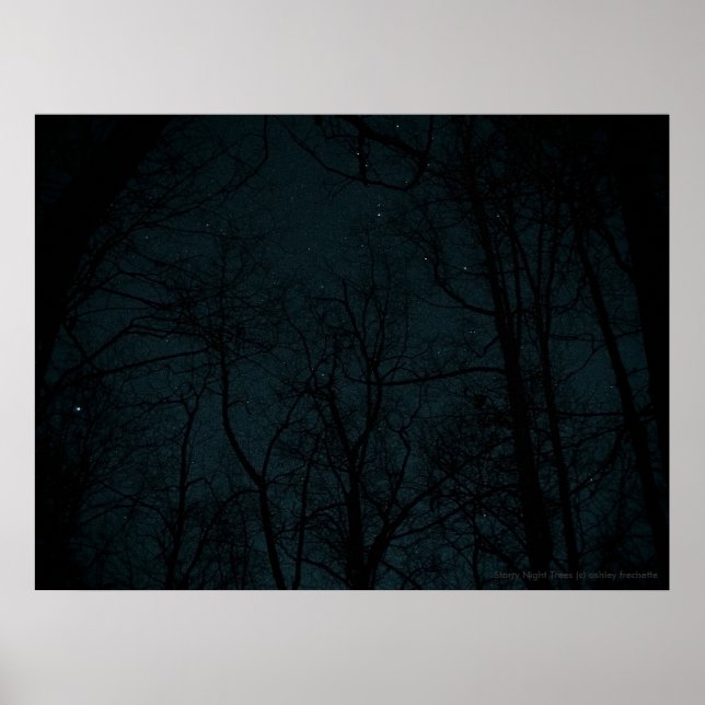 Starry Night Trees poster (Front)