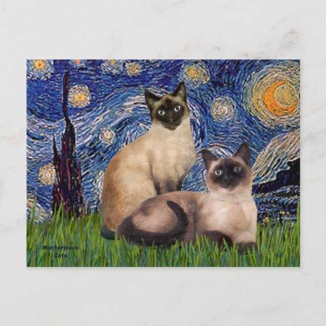 Starry Night - Two Siamese cats (Choc Pt) Postcard (Front)
