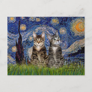 Starry Night - Two Tabby Tiger Cats Postcard