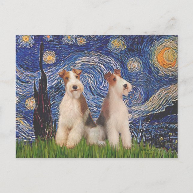 Starry Night - Two Wire Fox Terriers Postcard (Front)