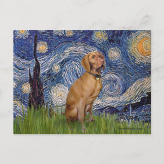 Starry Night - -Vizsla 2 Postcard