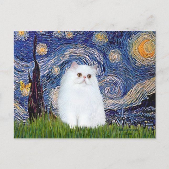 Starry Night - White Persian kitten Postcard (Front)
