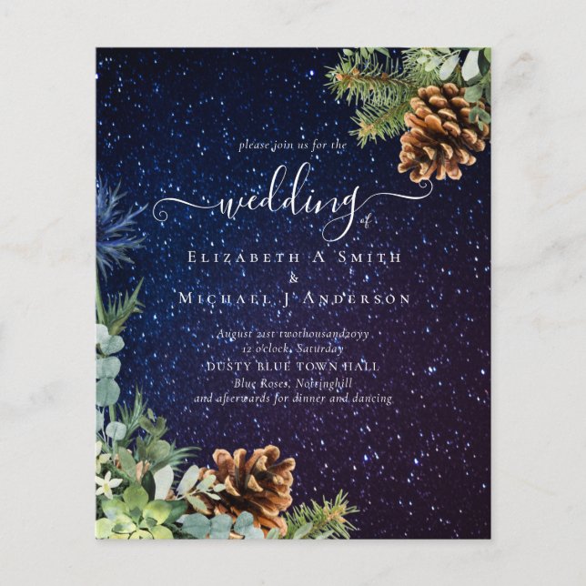 Starry Night Winter Wedding Budget Flyer (Front)