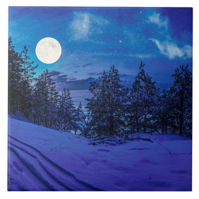 Starry night with full moon in forest tile (Front)