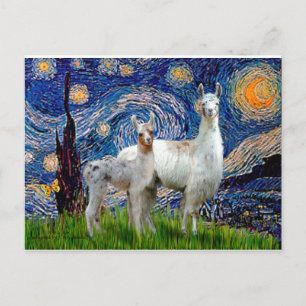 Starry Night with Two Llamas Postcard