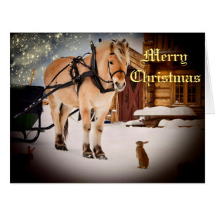 Starry Noël nuit à la ferme avec cheval
