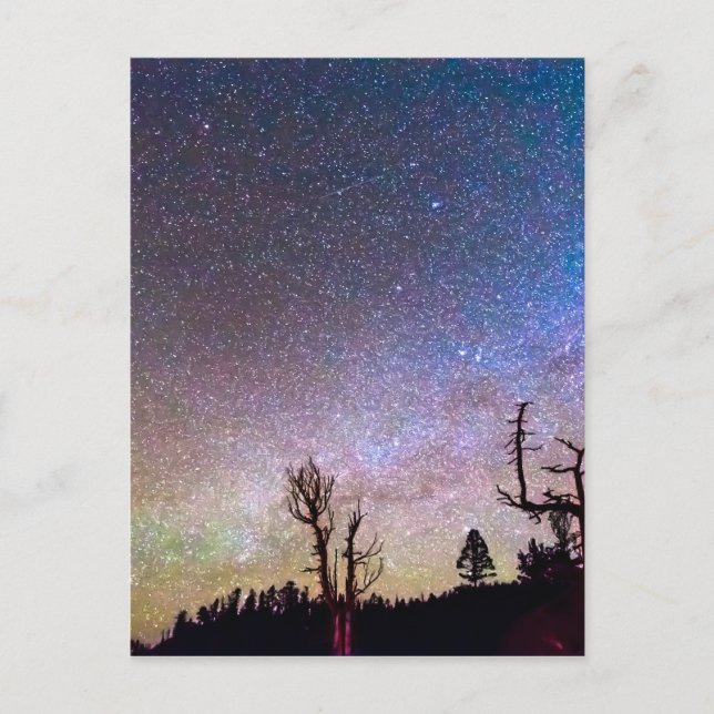 Starry Universe Postcard (Front)