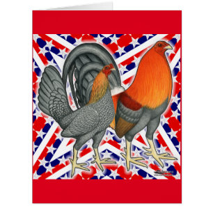 Stars and Stripes Gamefowl