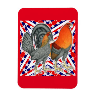 Stars and Stripes Gamefowl Magnet