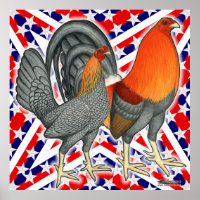 Stars and Stripes Gamefowl