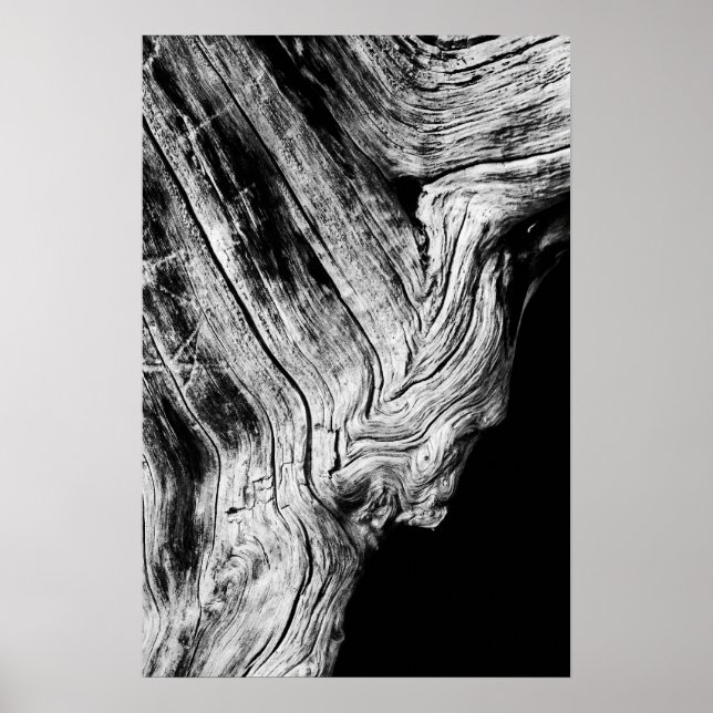 stars say so poster (Front)