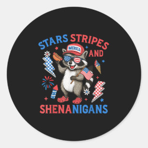 Stars Stripes And Shenanigans Usa Funny Raccoon 4t Classic Round Sticker