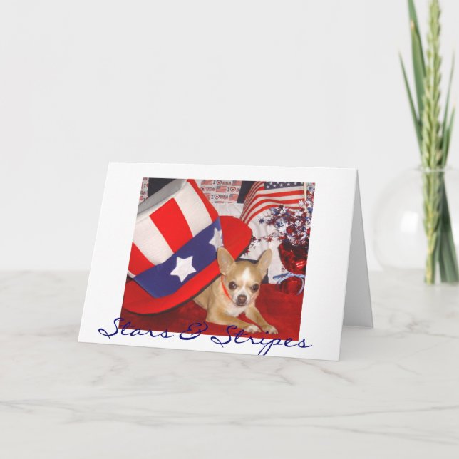 Stars & Stripes Chihuahua Card (Front)