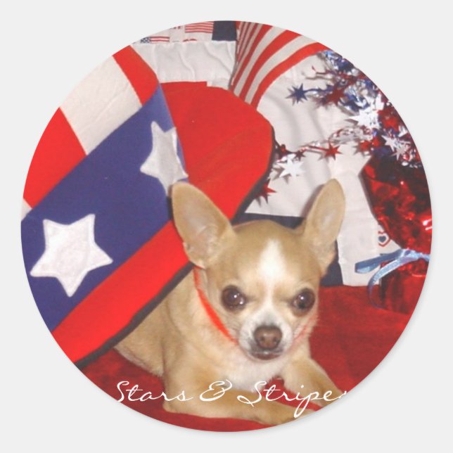 Stars & Stripes Chihuahua Pin Classic Round Sticker (Front)