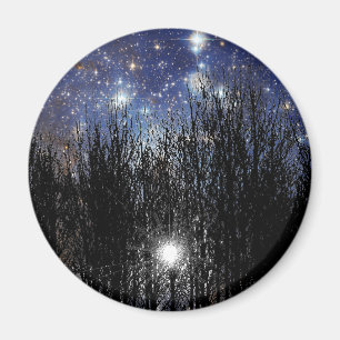 Starscape & Trees - Magnet #2