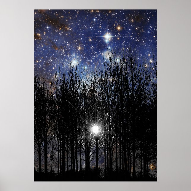 Starscape & Trees - Poster (Devant)