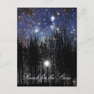 Starscape & Trees: Reach - Postcard