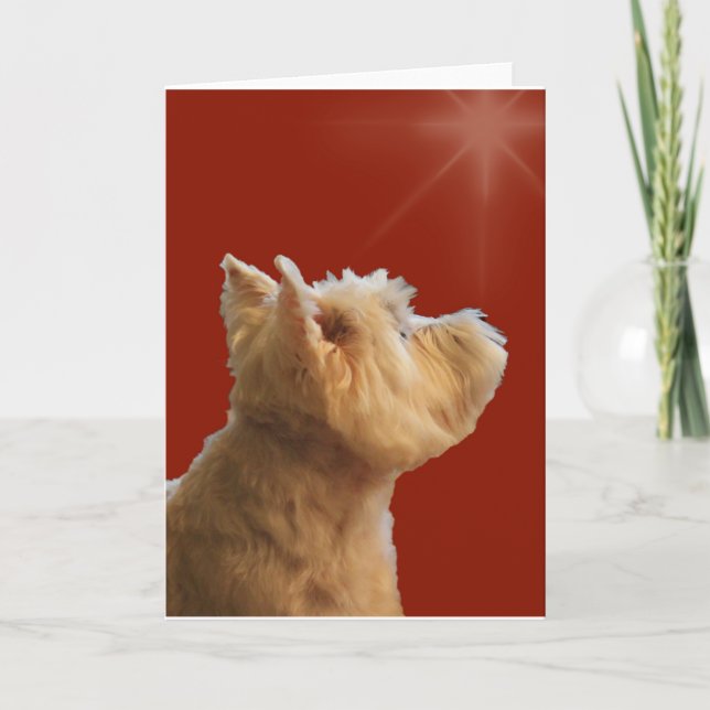 STARSTRUCK WESTIE HOLIDAY CARD (Front)