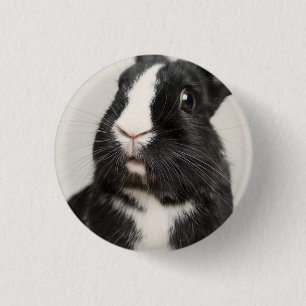 Startled Black and White Bunny Rabbit 1 Inch Round Button