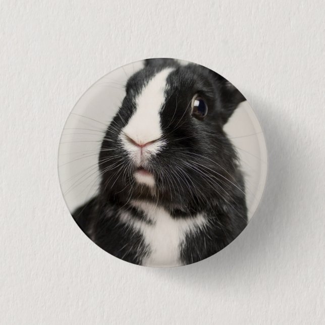 Startled Black and White Bunny Rabbit 1 Inch Round Button (Front)