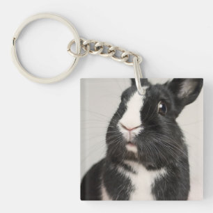Startled Black and White Bunny Rabbit Keychain