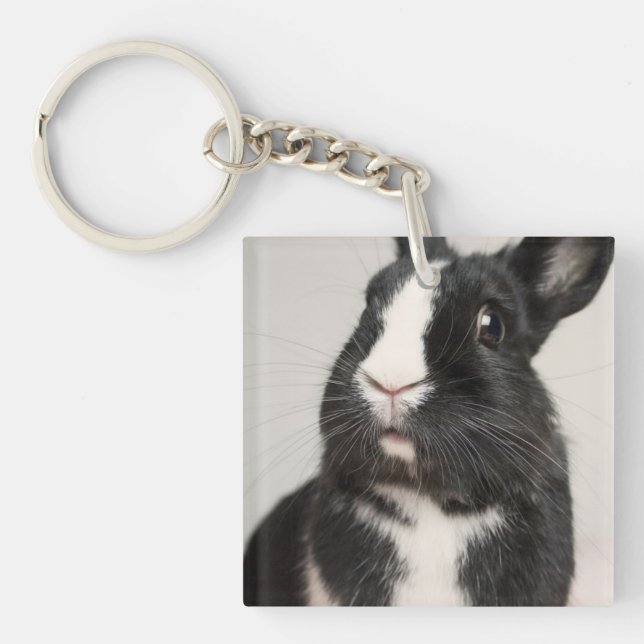 Startled Black and White Bunny Rabbit Keychain (Front)