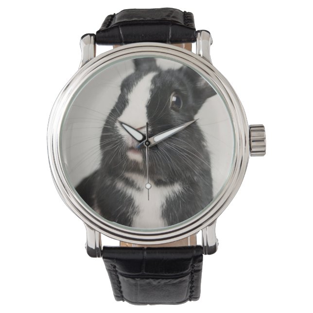 Startled Black and White Bunny Rabbit Watch (Front)