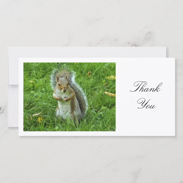 Startled Grey Squirrel - Thank You Card (Front)