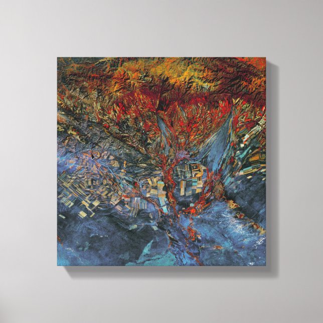 Startling Red Patches  Canvas Print (Front)