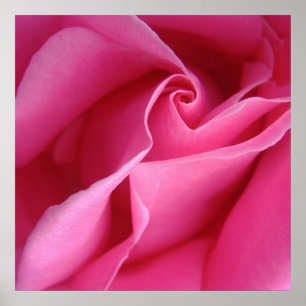 Starts at $12.80 Diagonal of Pink Rose Wall Decor