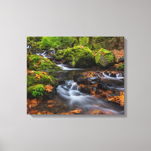 Starvation Creek Falls | Columbia Gorge, Oregon Canvas Print (Front)