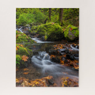 Starvation Creek Falls   Columbia Gorge, Oregon Jigsaw Puzzle
