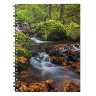 Starvation Creek Falls   Columbia Gorge, Oregon Notebook