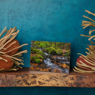 Starvation Creek Falls   Columbia Gorge, Oregon Plaque