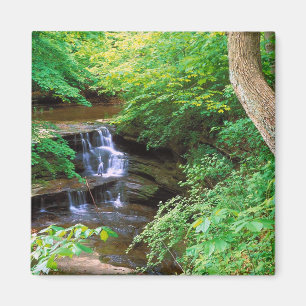 Starved Rock Park, Illinois Magnet