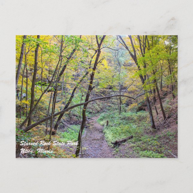 Starved Rock Postcard (Front)