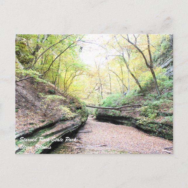 Starved Rock Postcard (Front)