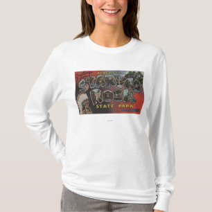 Starved Rock State Park - Large Letter Scenes T-Shirt
