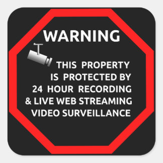 Starving Artists Security Sticker for Windows