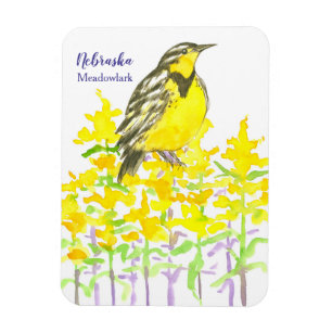 State Bird Nebraska Western Meadowlark Goldenrod Magnet