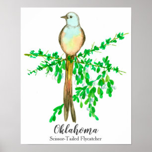 State Bird of Oklahoma Scissor Tailed Flycatcher Poster