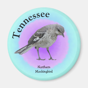 State Bird of Tennessee Magnet