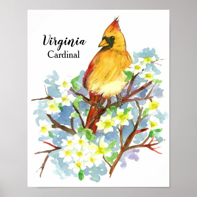 State Bird of Virginia Female Cardinal Watercolor Poster (Front)