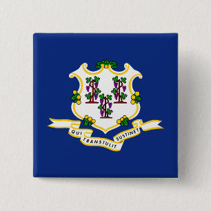 State Flag of Connecticut 2 Inch Square Button