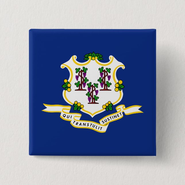 State Flag of Connecticut 2 Inch Square Button (Front)