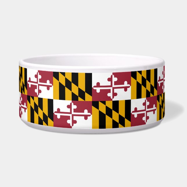 State Flag of Maryland (Front)