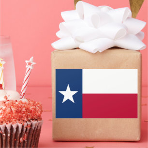 State Flag of Texas Sticker