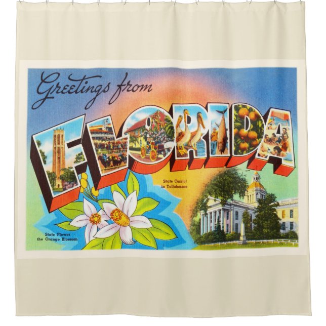 State Florida FL Old Vintage Travel Souvenir (Front)