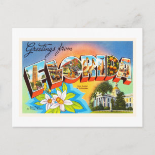 State Florida FL Old Vintage Travel Souvenir Postcard